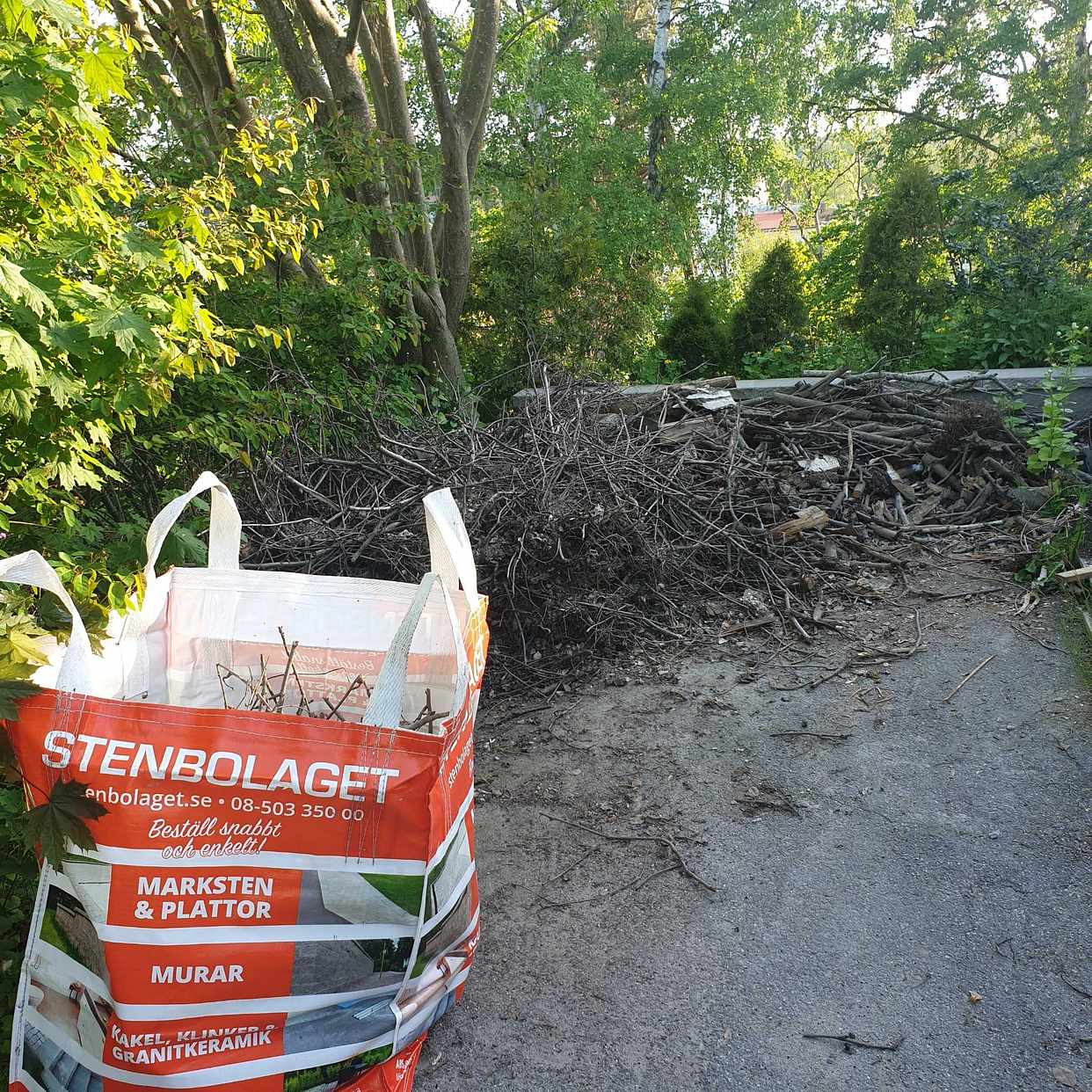 image of Nedhugget träd och buskar - Spånga