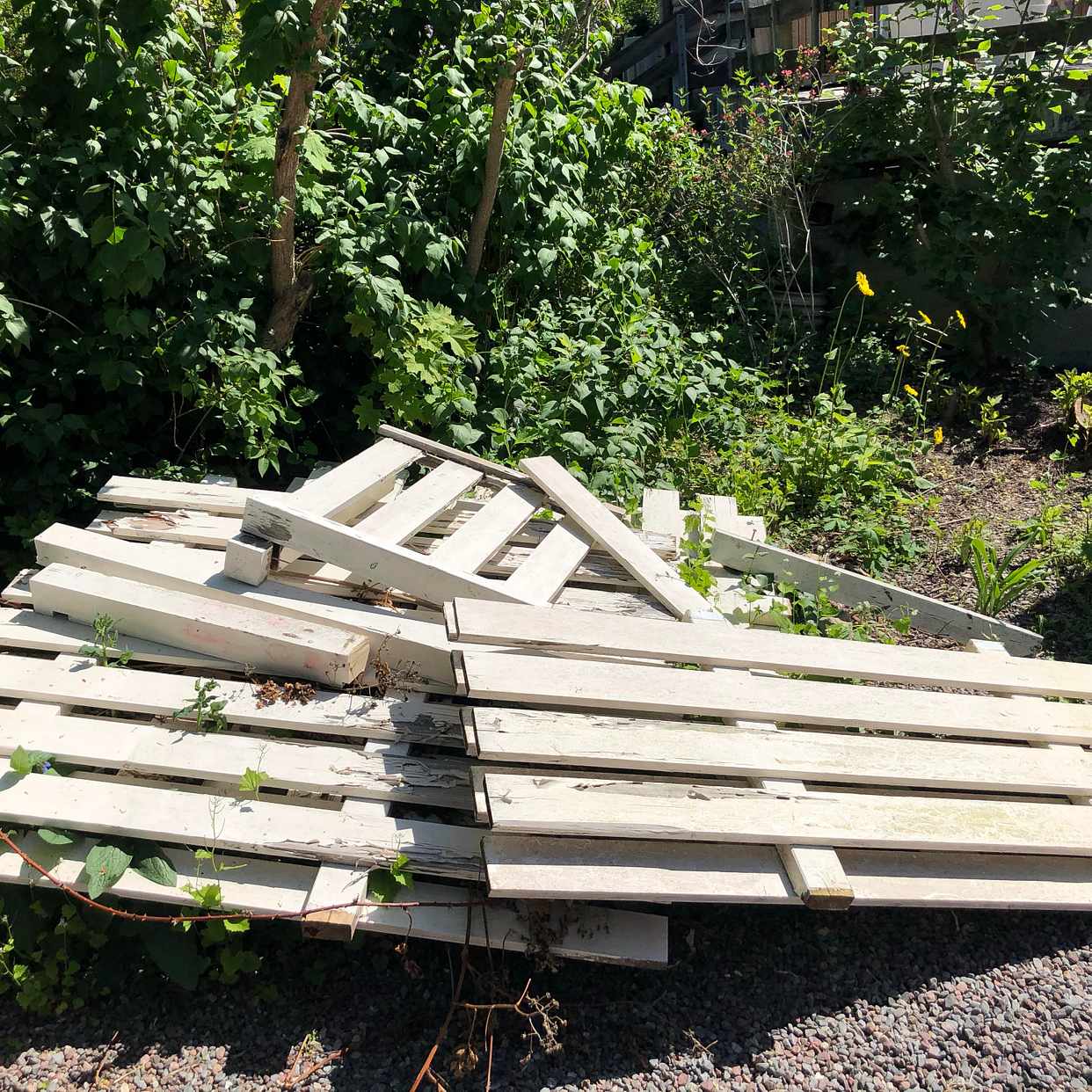 image of Gammalt plank - Enskede Gård