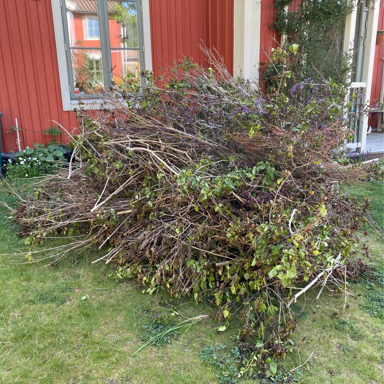 image of Köra bort ris - Åkersberga