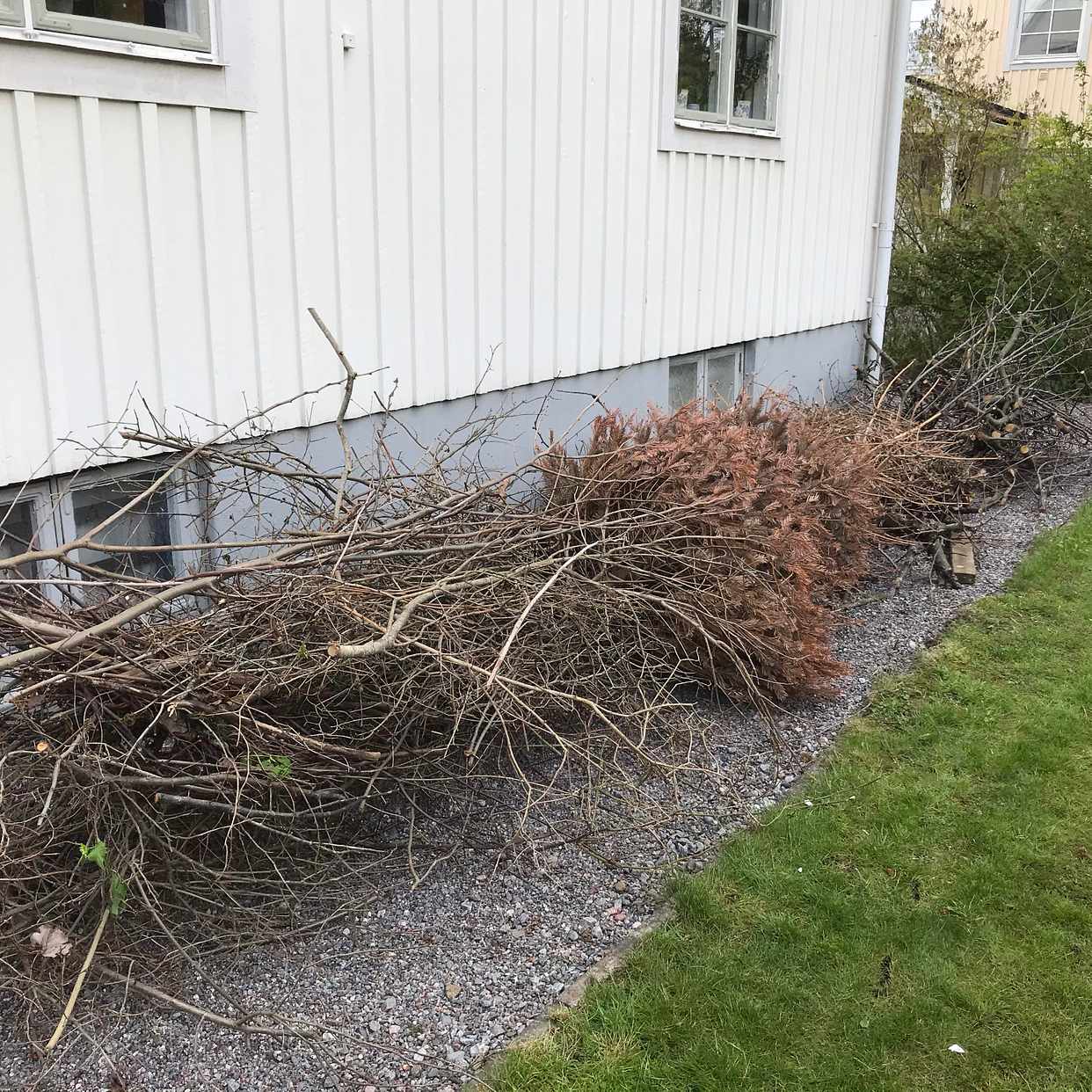 image of Bortforsling av ris - Sundbyberg