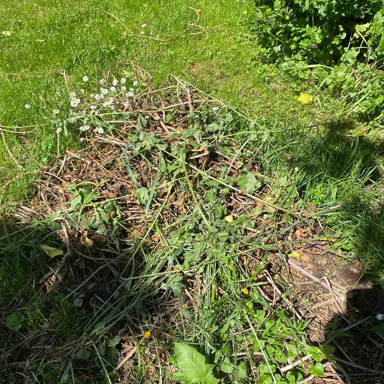 image of Diverse skräp - Ekerö