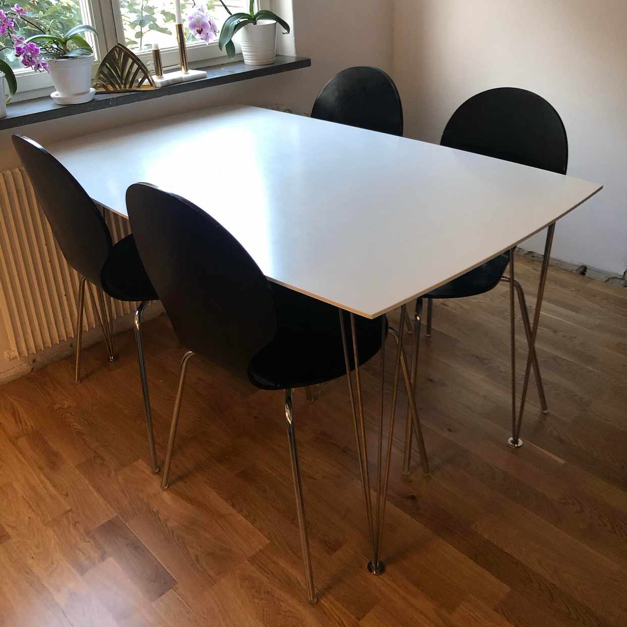 image of Matgrupp bortskänkes - Sköndal