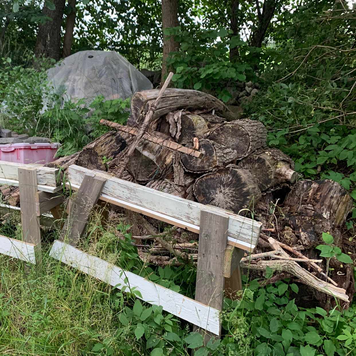image of Marksten och stockar - Vejbystrand