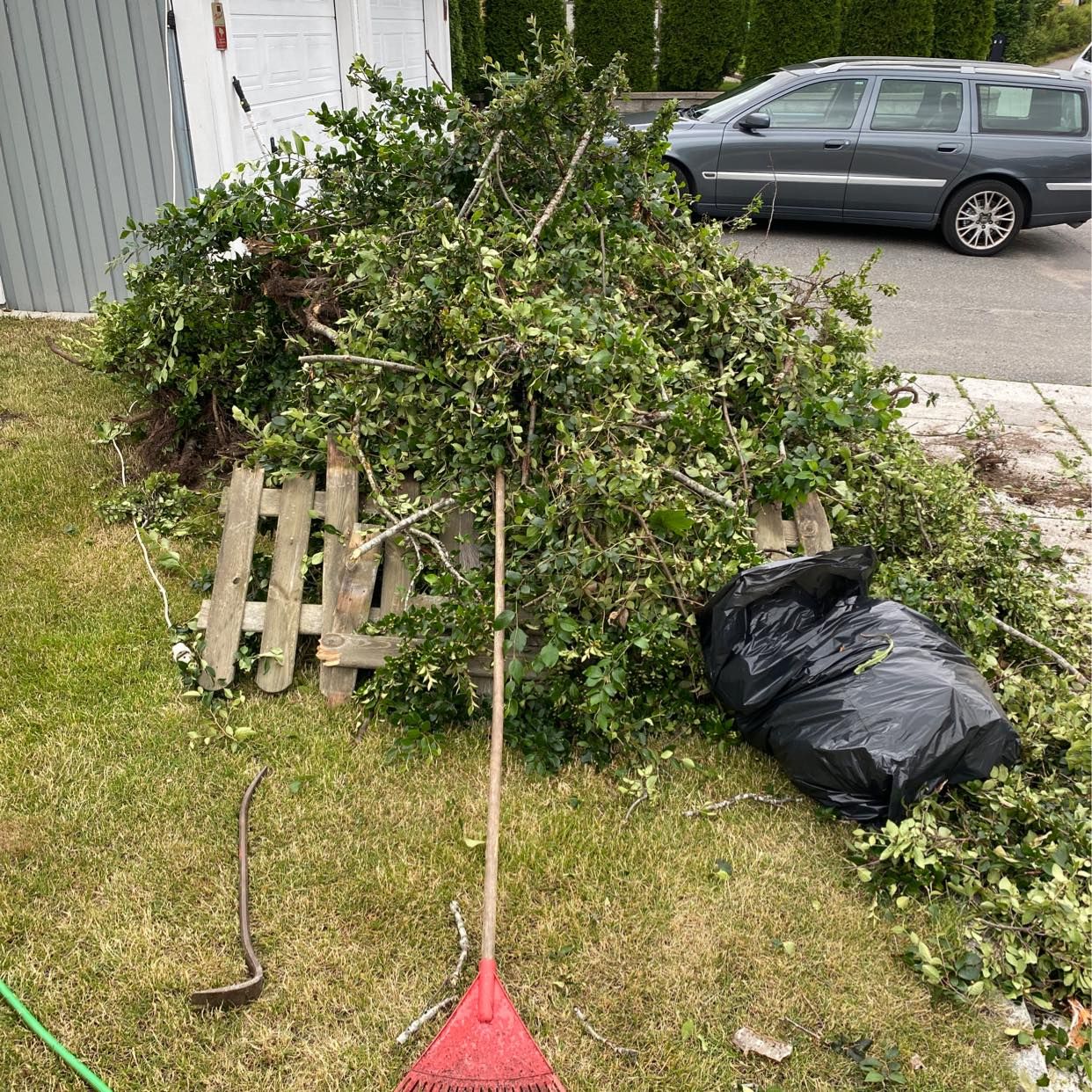 image of Divers allt ska slängas - 