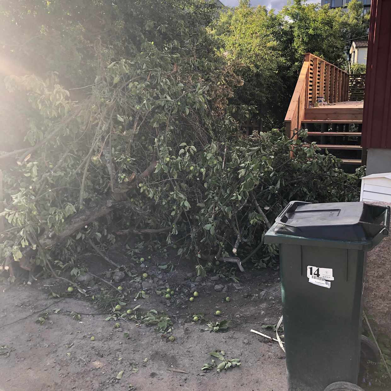 image of Garden waste - Enskede