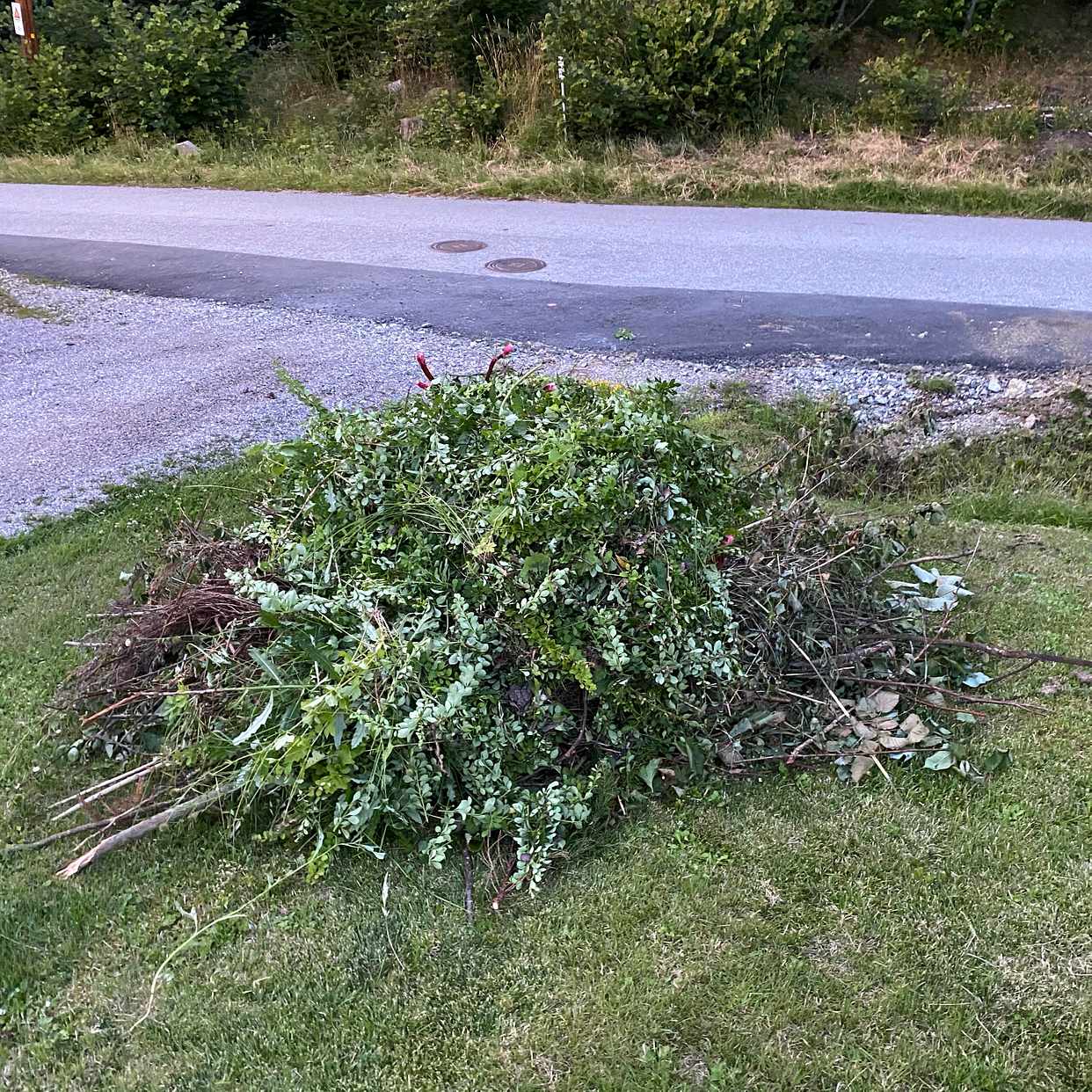 image of Trädgårdsrens till tippen - Djursholm