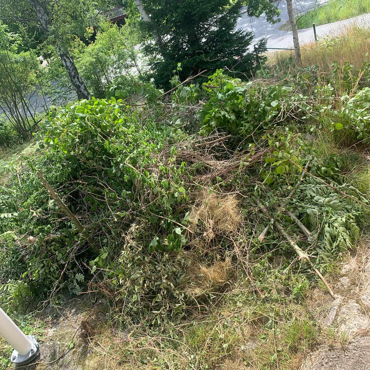 image of Garden Waste - Åkersberga