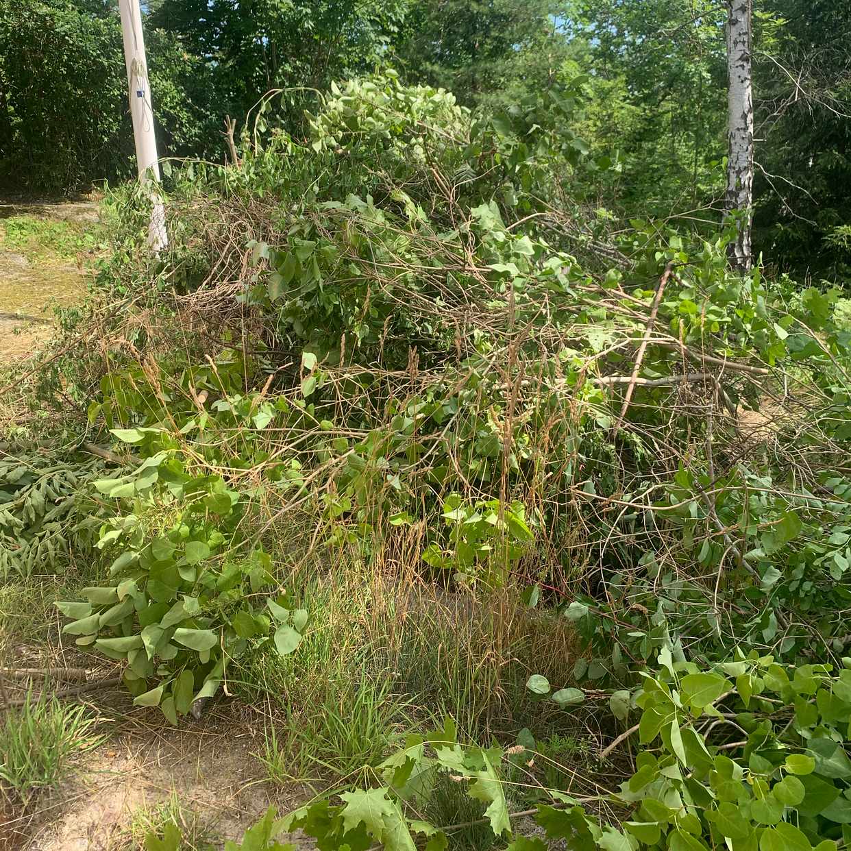 image of Garden Waste - Åkersberga