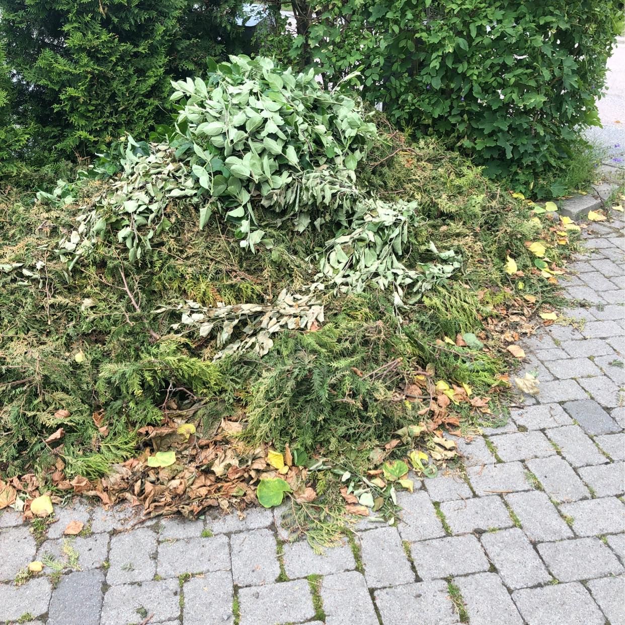 image of Bortforsling av grenar mm - Sollentuna