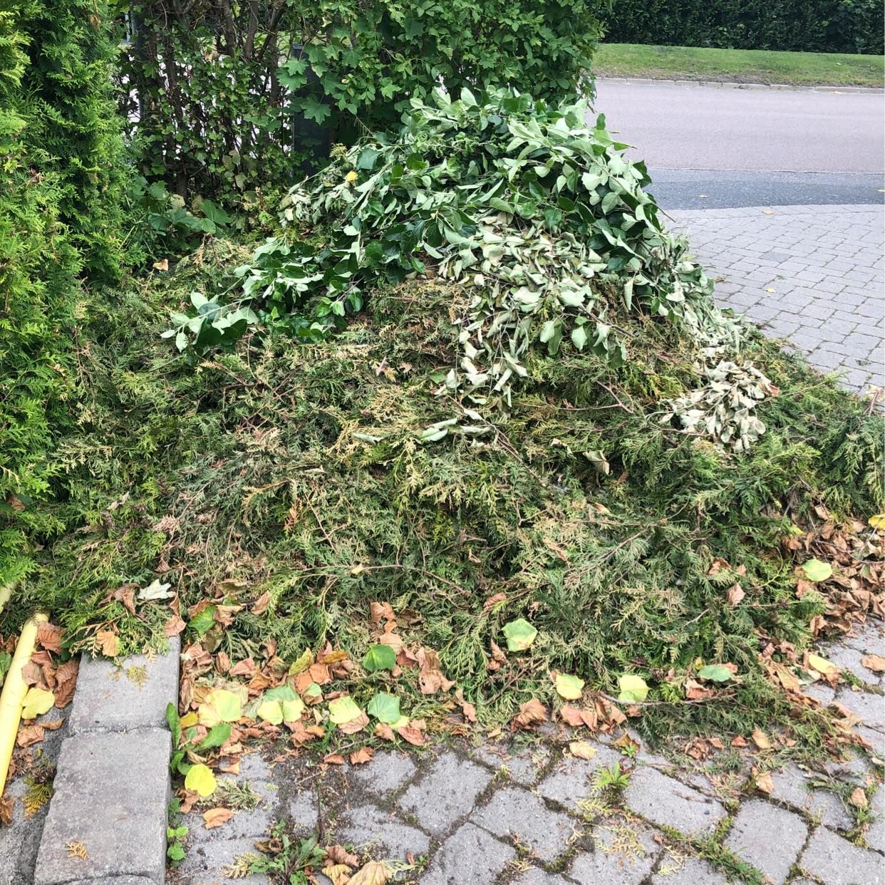 image of Bortforsling av grenar mm - Sollentuna