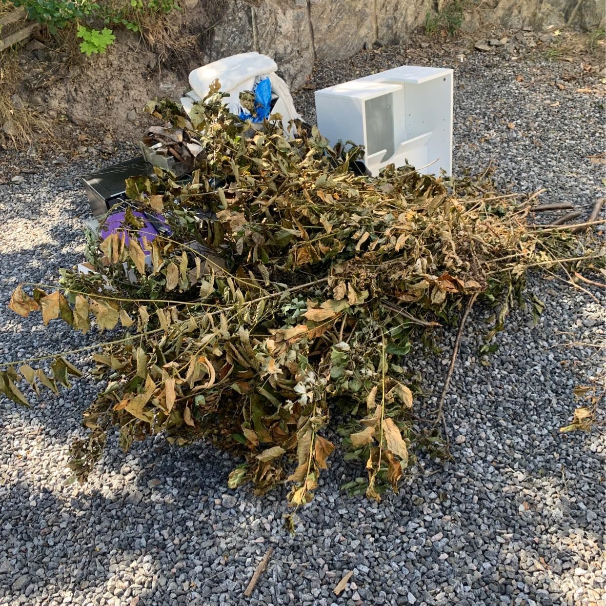 image of Blandad skräp/ris - Enskede