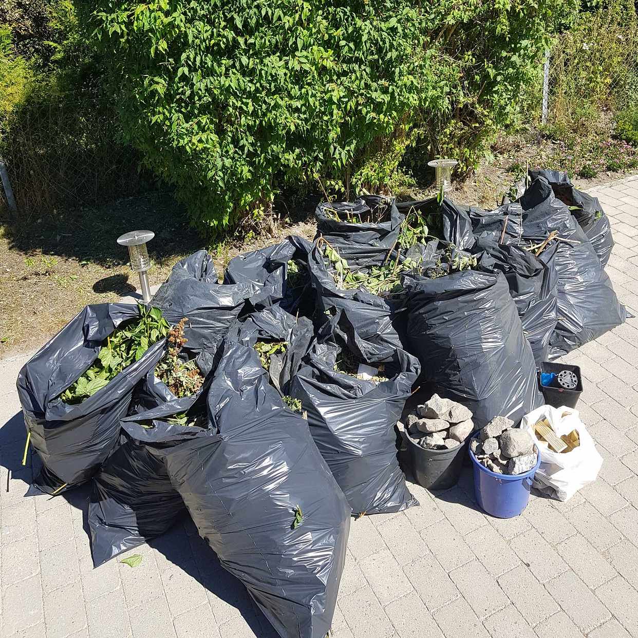 image of Kvistar,stenar lite plast - Bromma