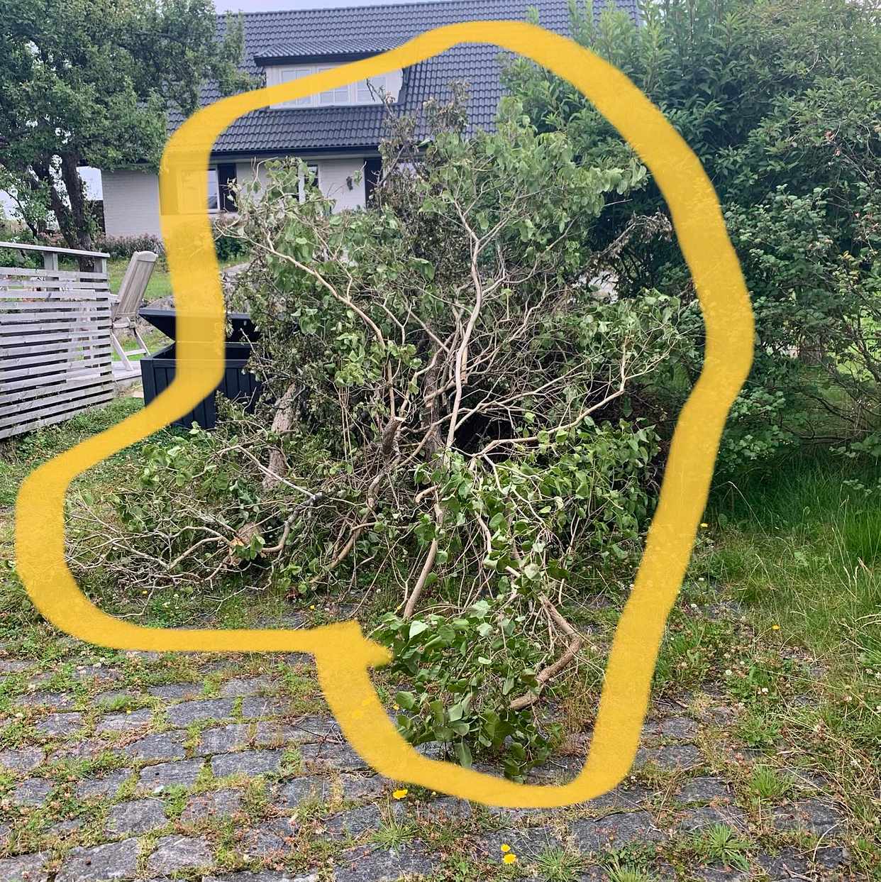 image of Trädgårdsrens - Västra Frölunda