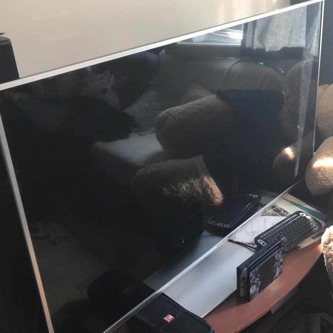 image of Hämta tv - 