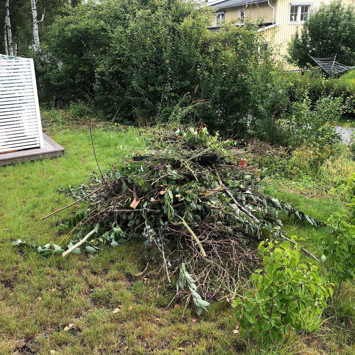 image of Remove branches - Täby