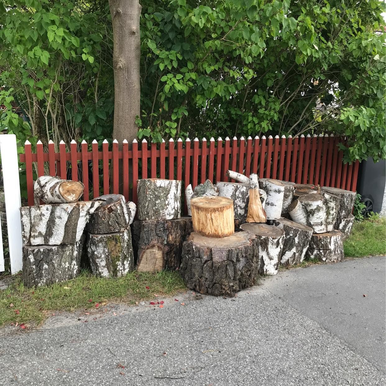 image of Björkved bortskänkes - Spånga