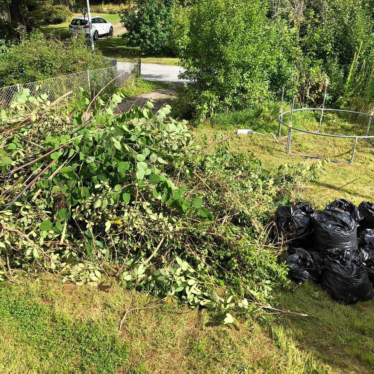image of Trädgårdsavfall - Djursholm