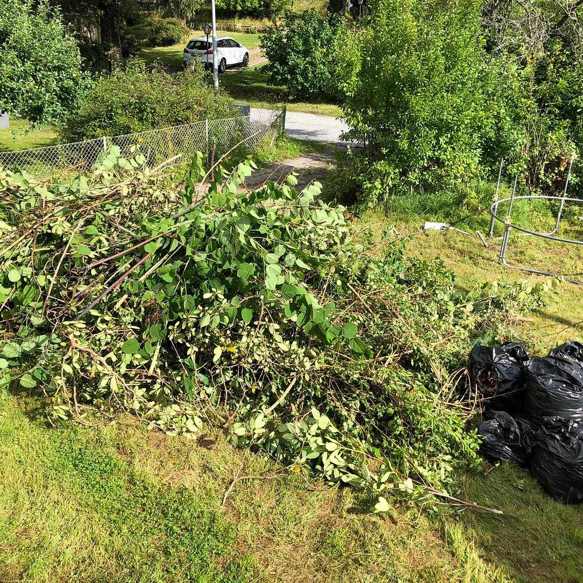 image of Trädgårdsavfall - Djursholm