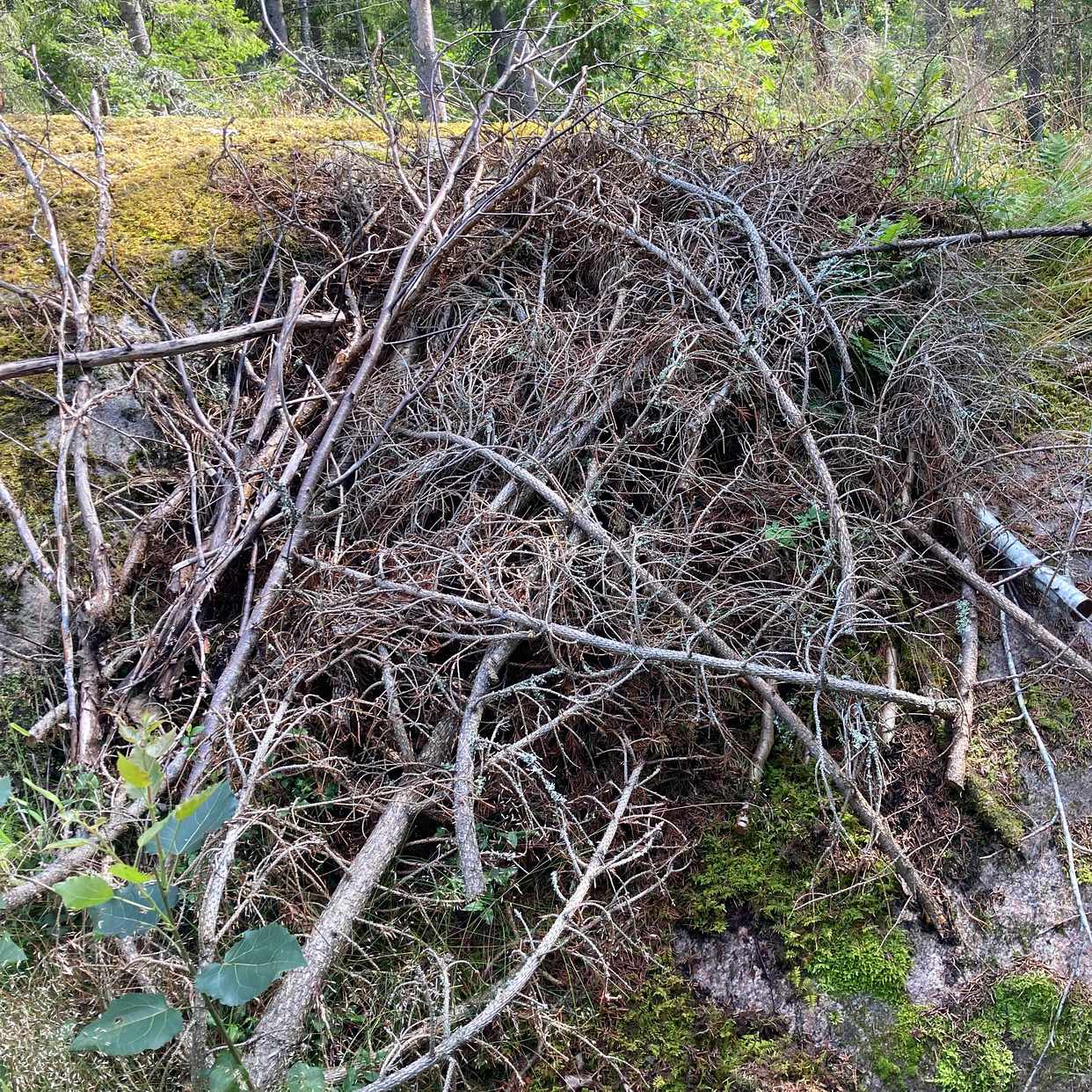 image of Trädgårdsavfall - blidö