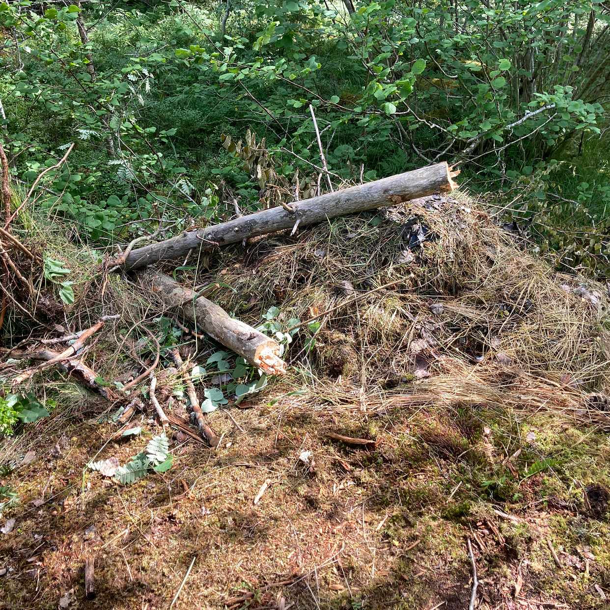 image of Trädgårdsavfall - blidö