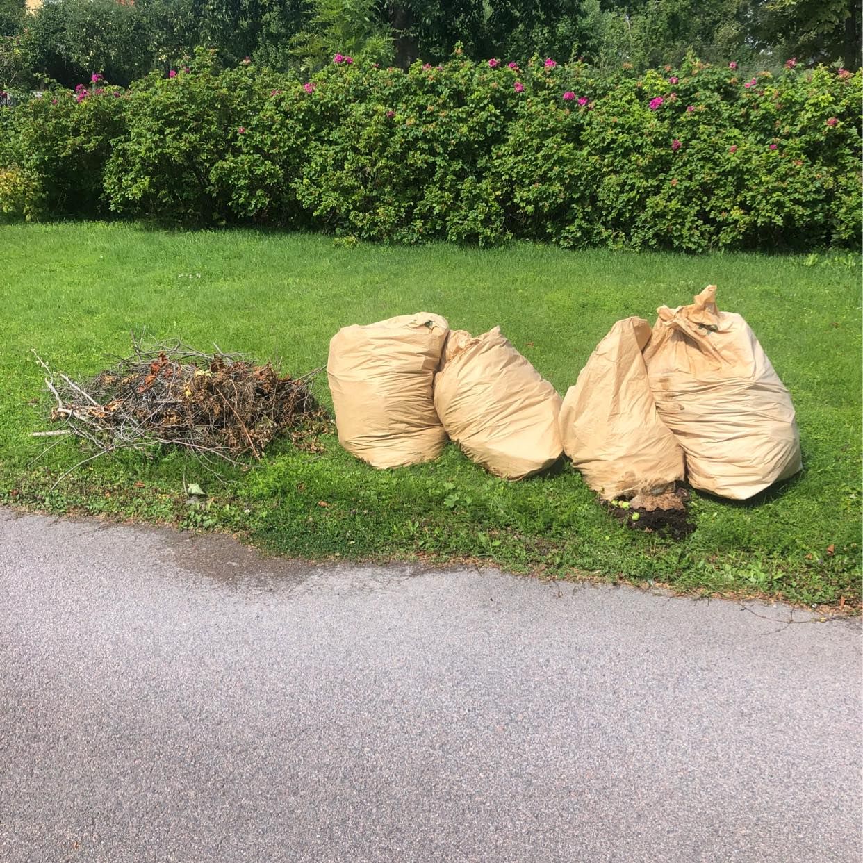 image of 4 säckar, 1 rishög - Täby