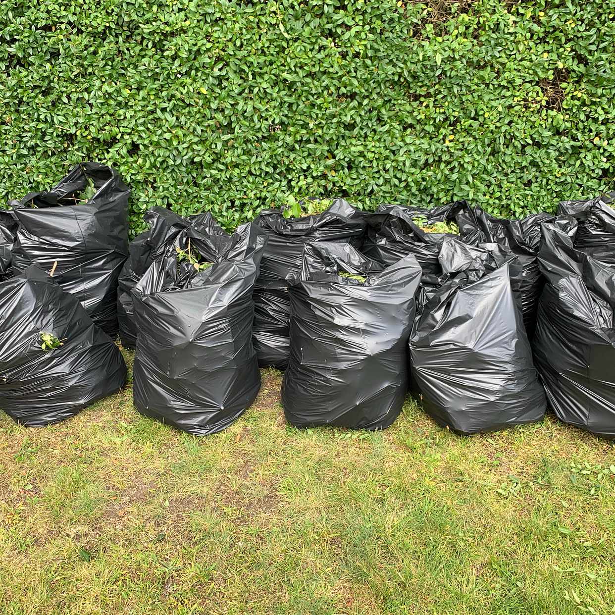 image of Garden waste - Limhamn