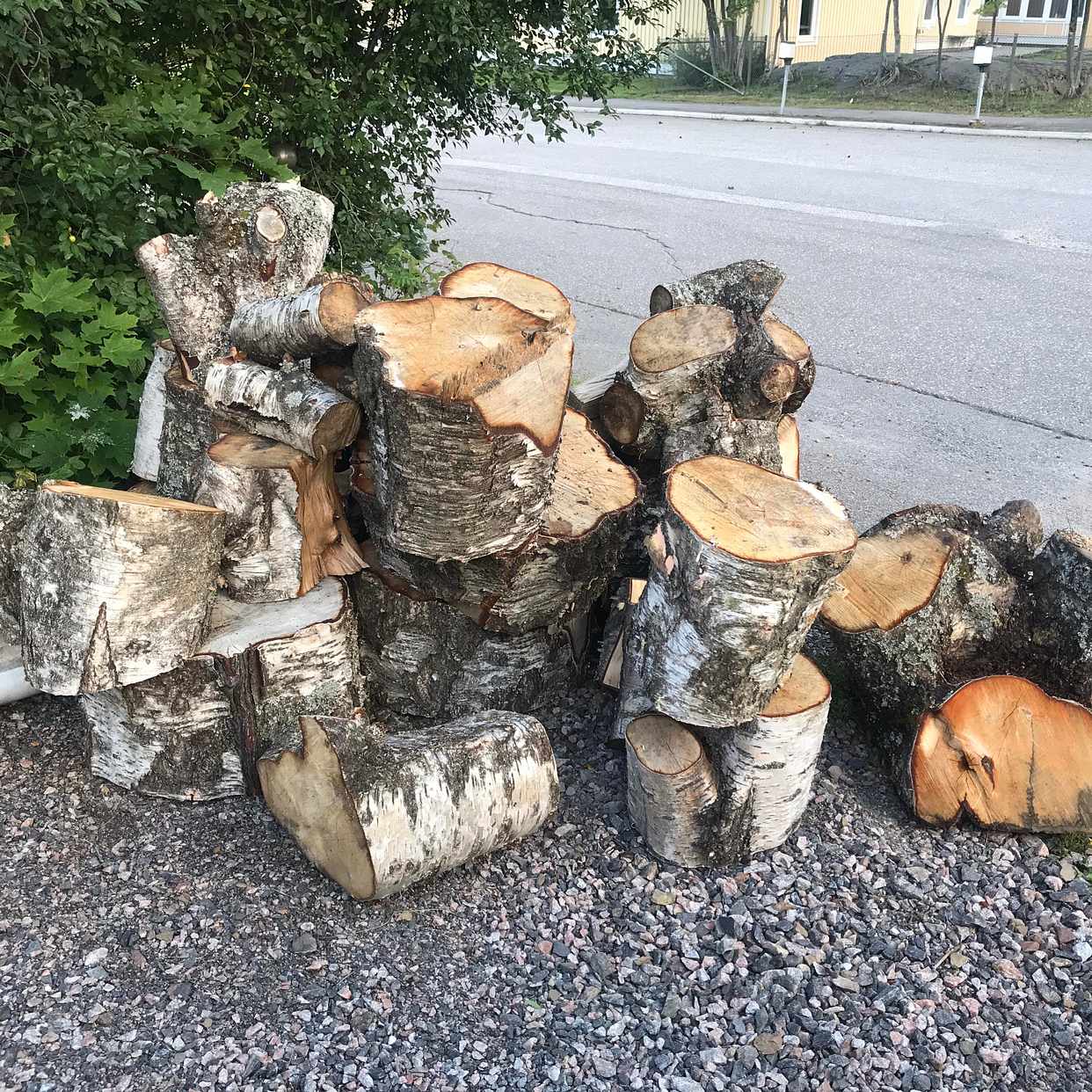 image of Köra iväg uppkapad björk - Sundsvall