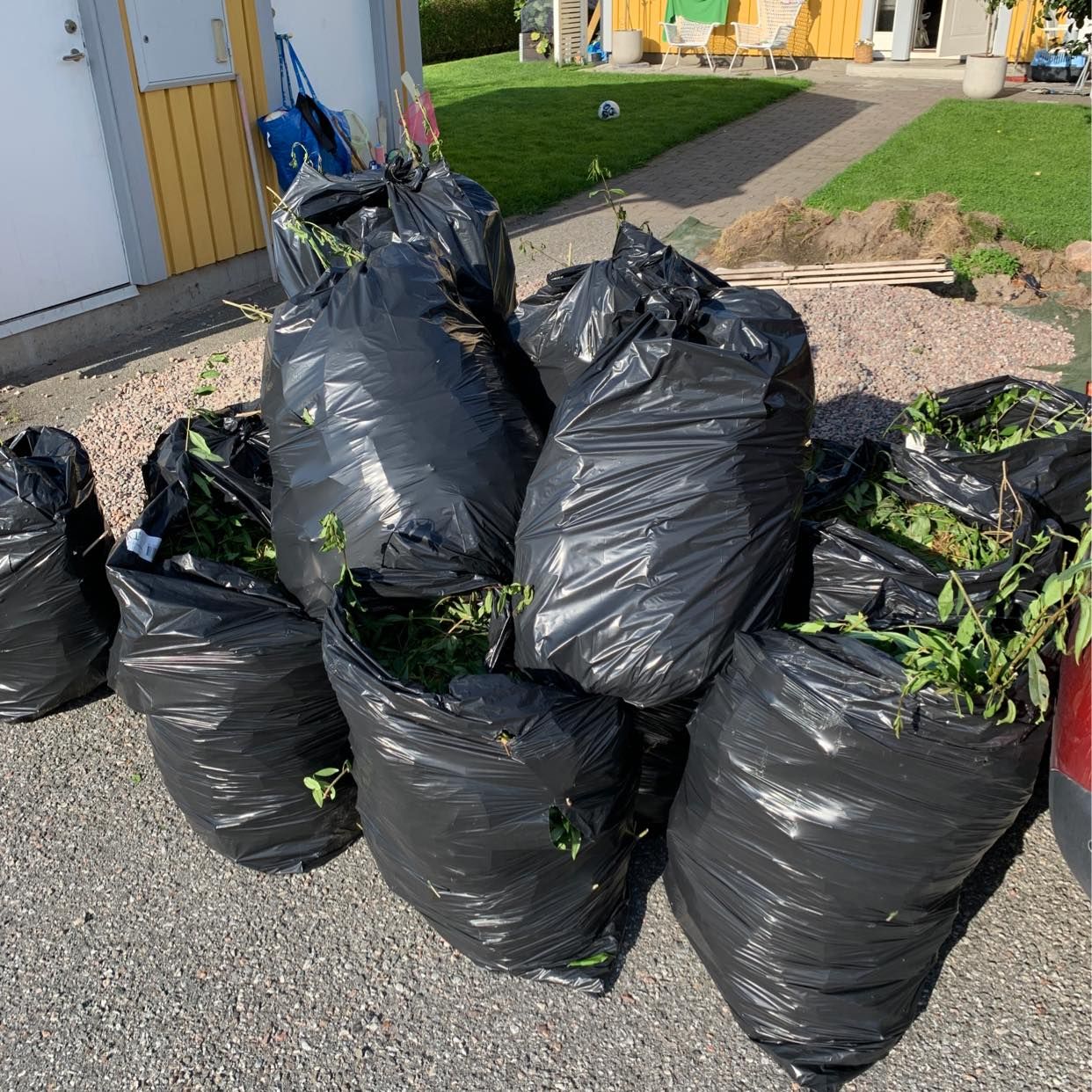 image of 17st säckar med häckklipp - Sollentuna