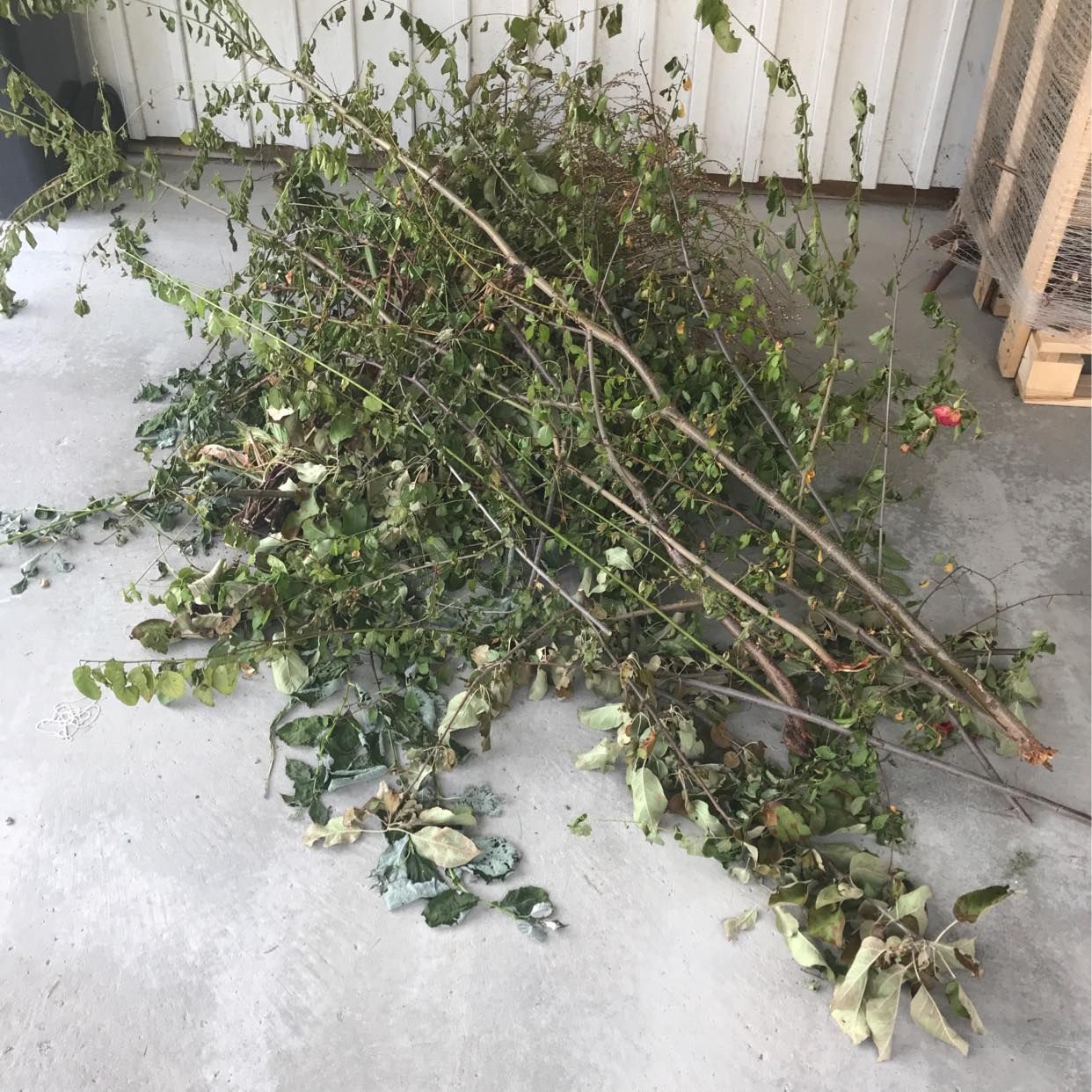 image of Garden waste and boxes - Täby