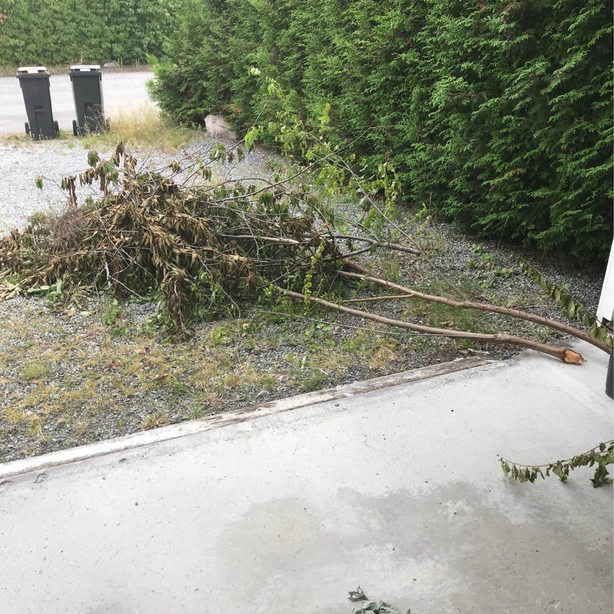 image of Garden waste and boxes - Täby