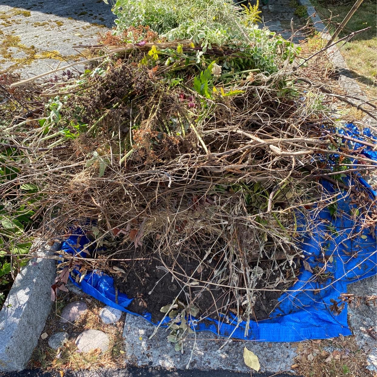 image of Garden waste - Lidingö