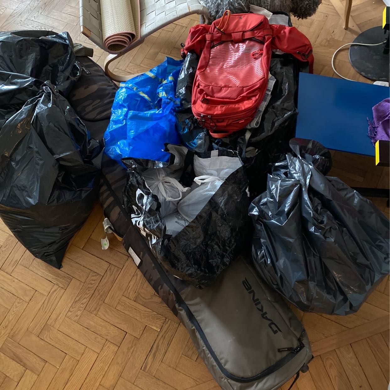 image of Moving 1 couch and bags - 