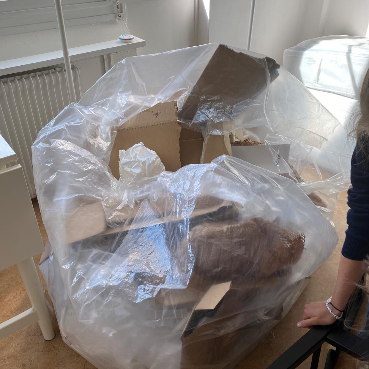 image of Cardboard and Plastic - Lund