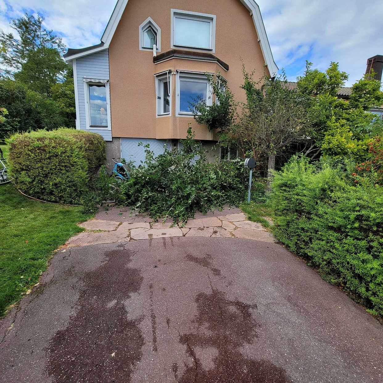 image of Grenar från stor buske - Djursholm