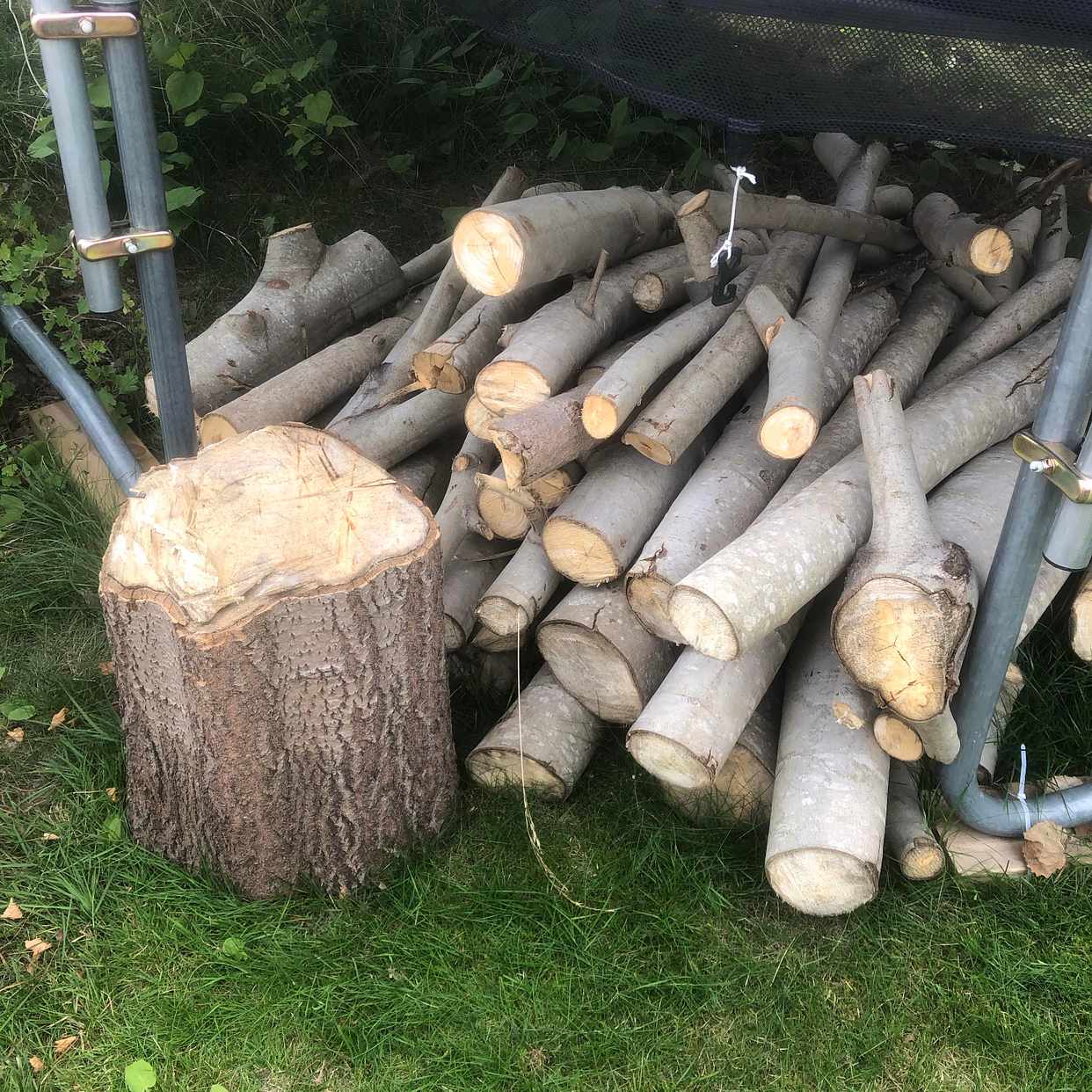 image of Hämtning av grenar. Ved. - Älta