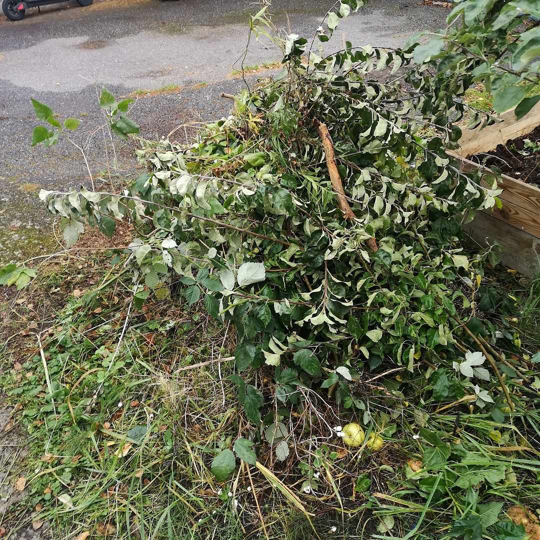 image of Blandat ris och metall - Tyresö