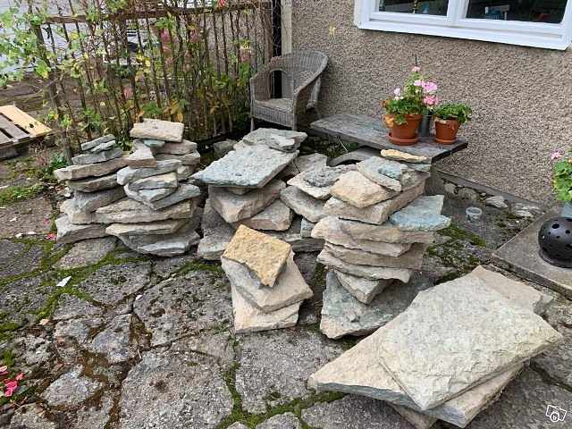 image of Grå ölandssten - 