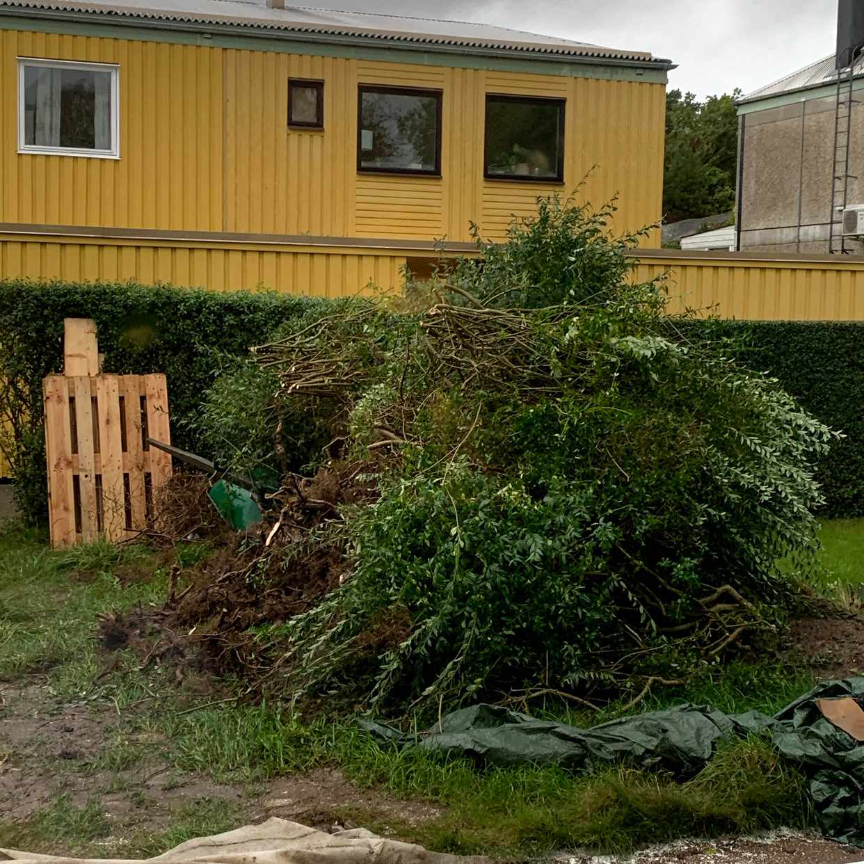 image of Häck, soppåsar, brädor mm - Västra Frölunda
