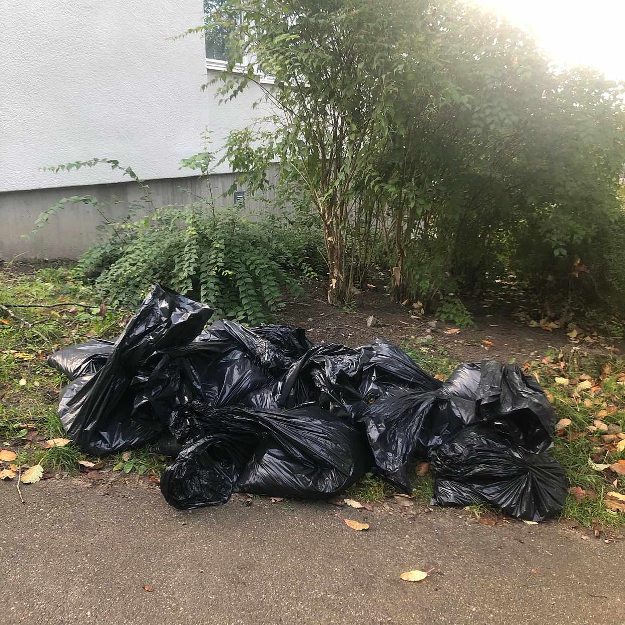 image of Plasticbags with dirt - Lidingö
