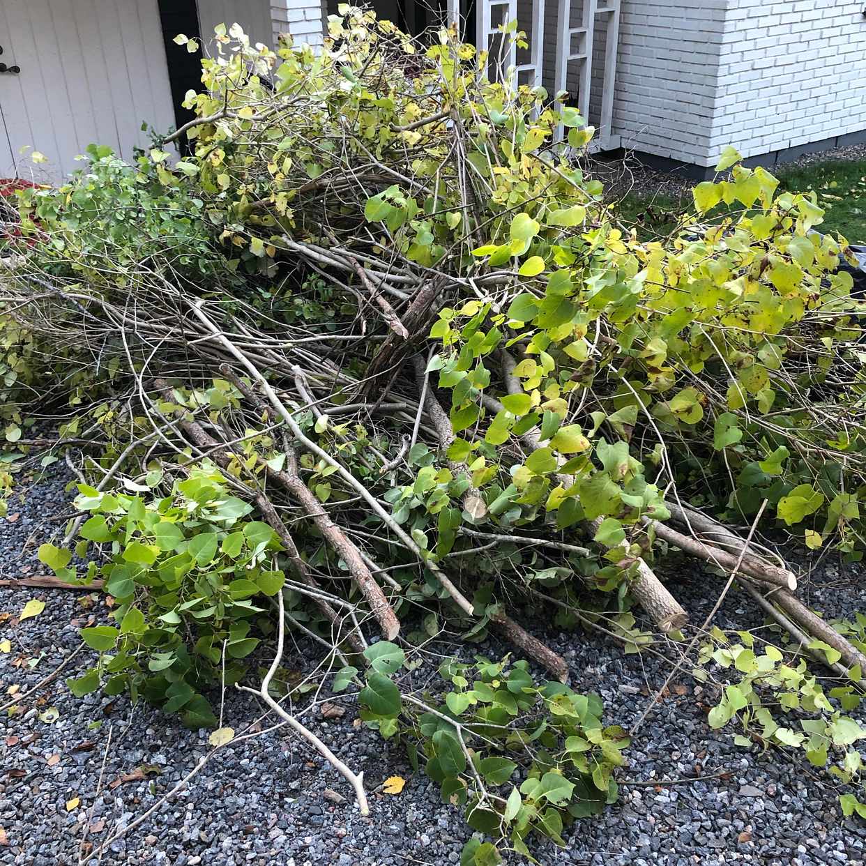 image of Bort med trädgårdsavfall - Tyresö