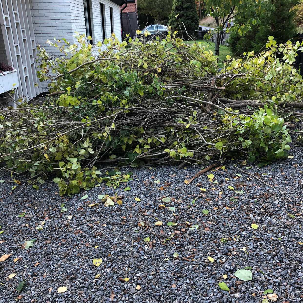 image of Bort med trädgårdsavfall - Tyresö