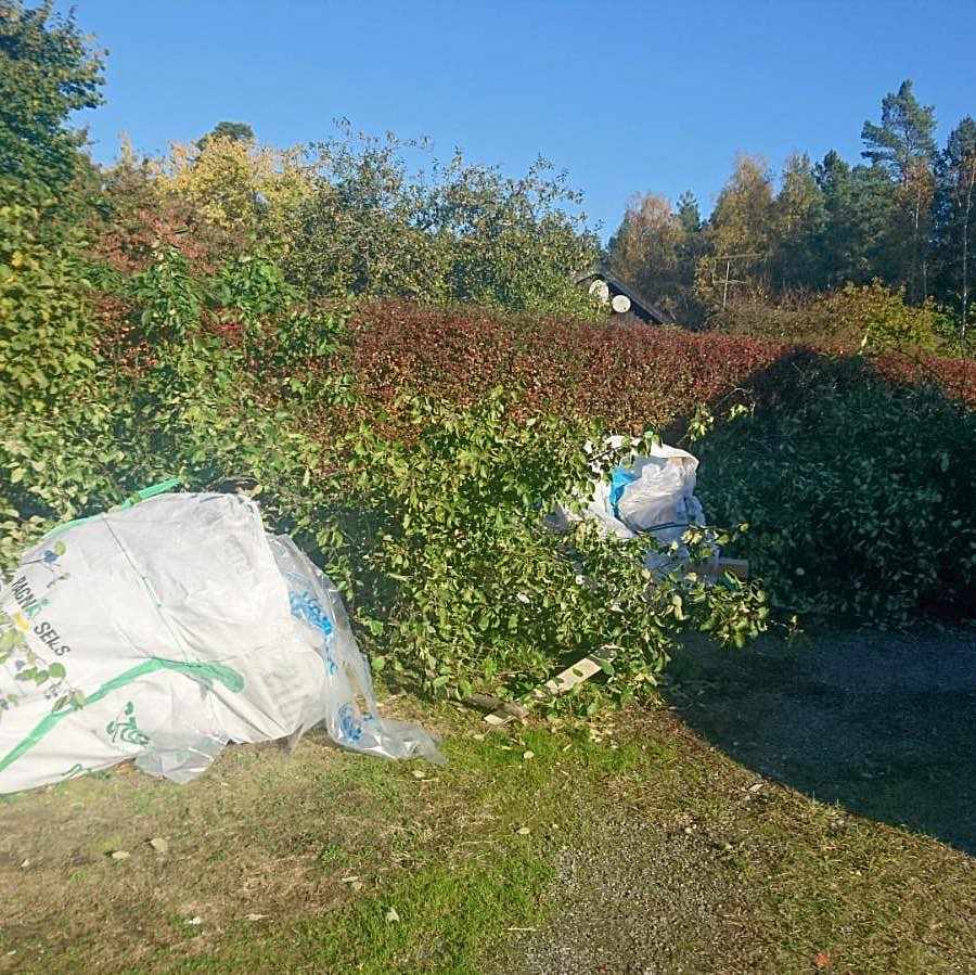 image of Grenar från ett äppelträd - Täby