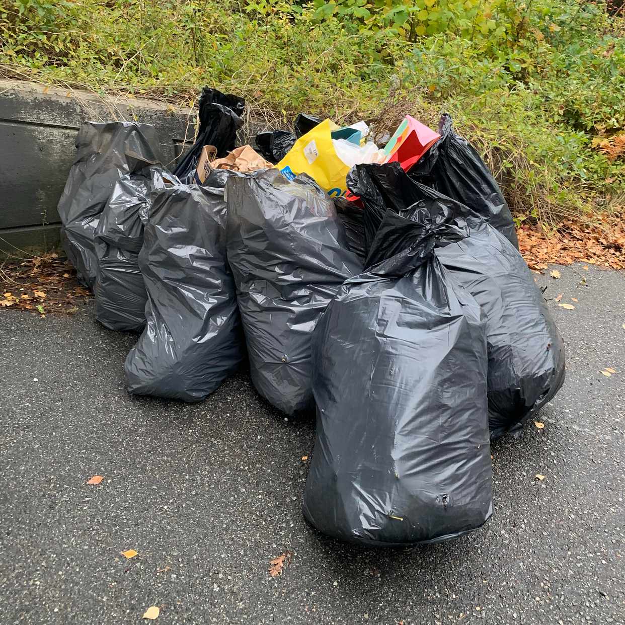 image of Bortforsling av avfall - Lidingö