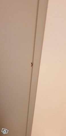 image of Brimnes garderob, vit, Ik - 
