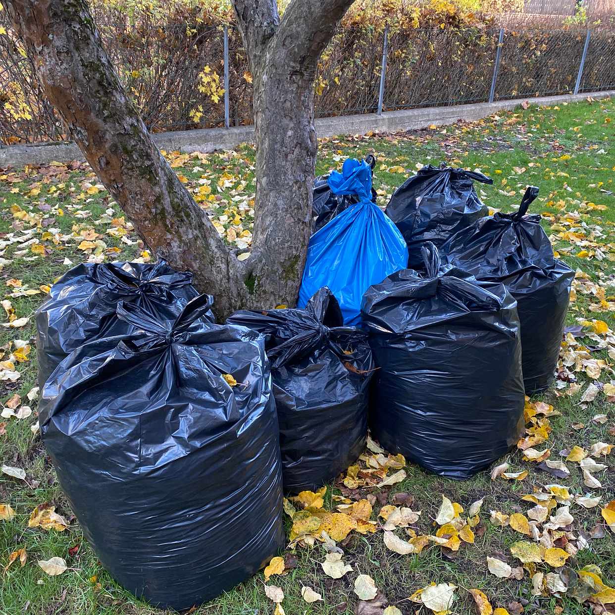 image of 15 säckar och ris - Enskede