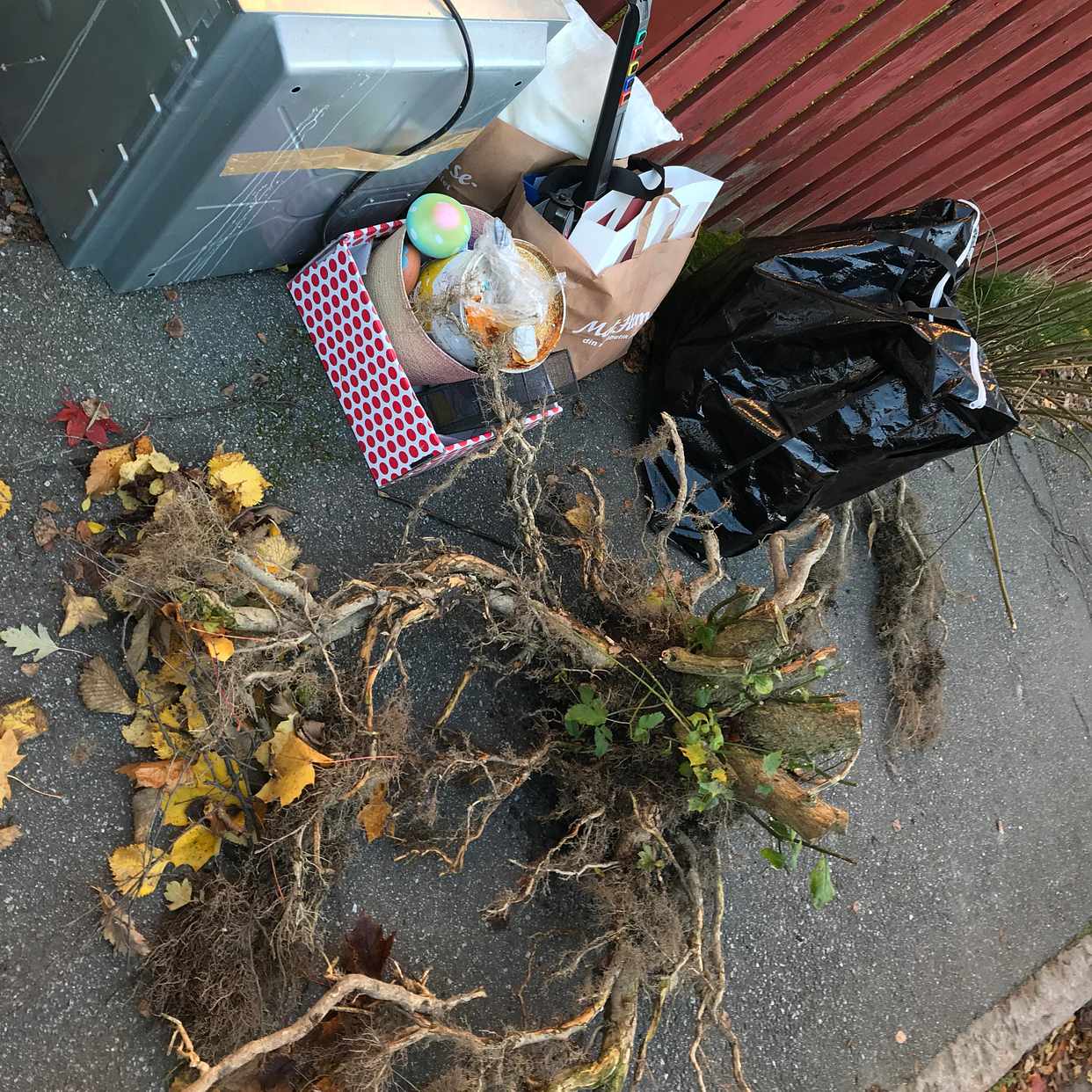 image of Borttransportera o slänga - Enskede