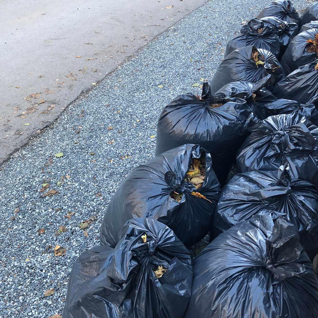 image of Removal of garden waste - Djursholm