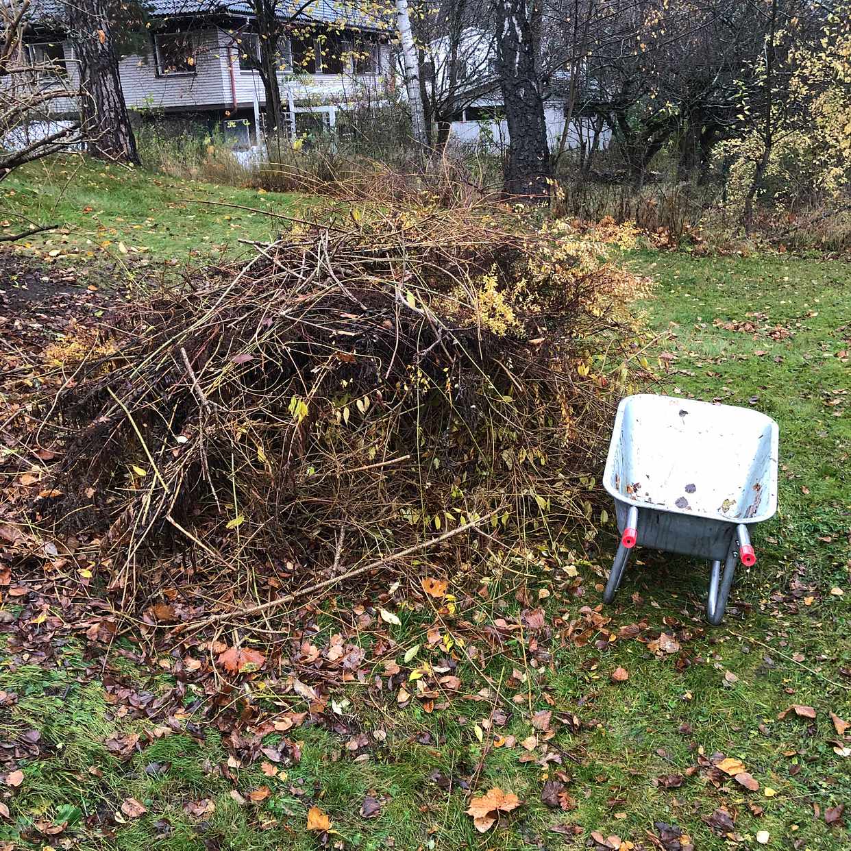 image of Löv och ris till tippen - Stocksund
