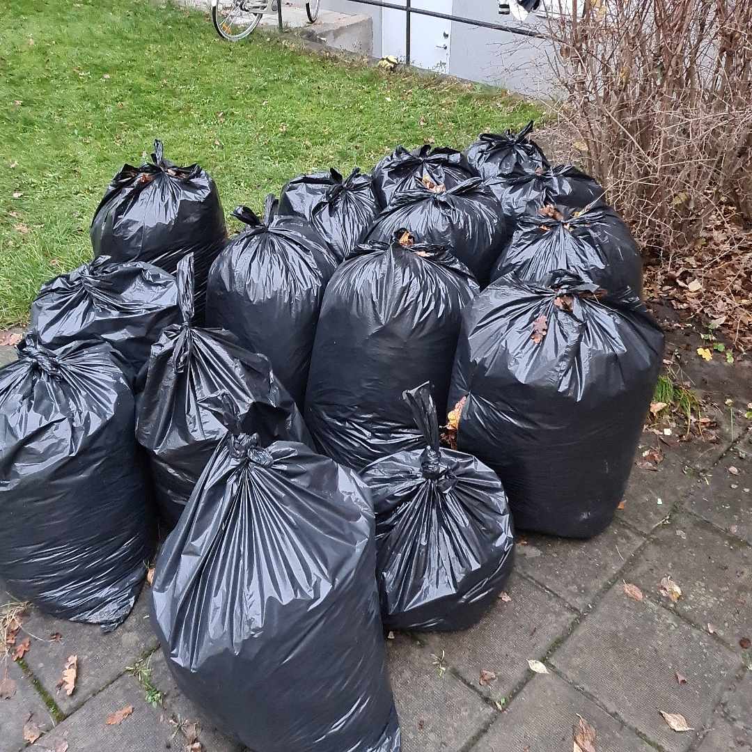 image of 15 bags of leaves - Solna