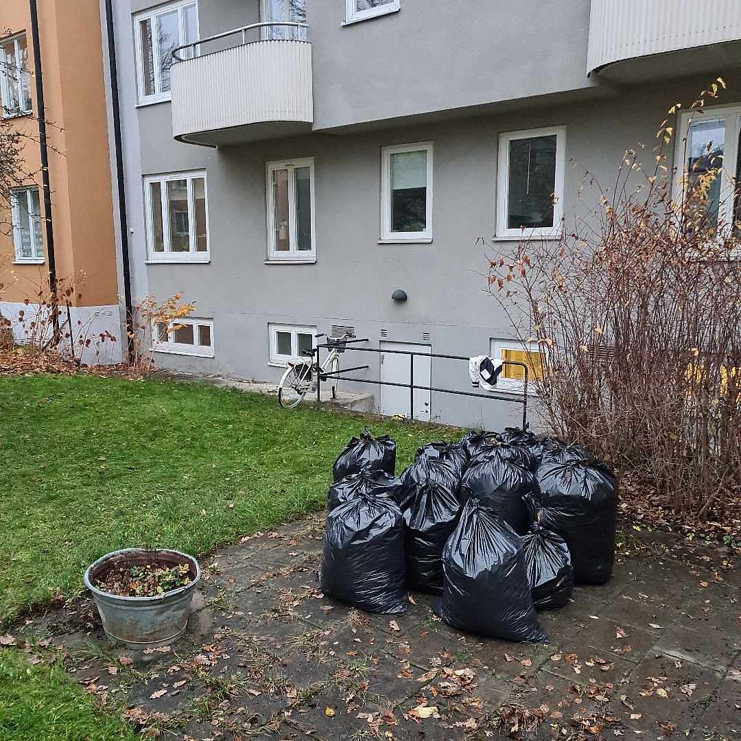 image of 15 bags of leaves - Solna